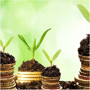 Изображение категории Когда и как оплачивать?