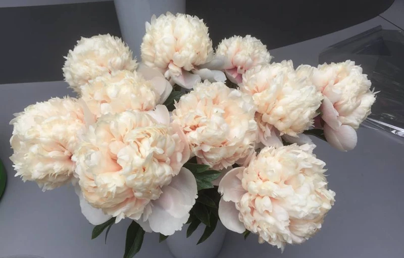 Colonel Owen Cousins на Пулков Сад