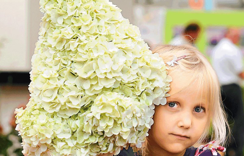 Magical Moonlight на Пулков Сад