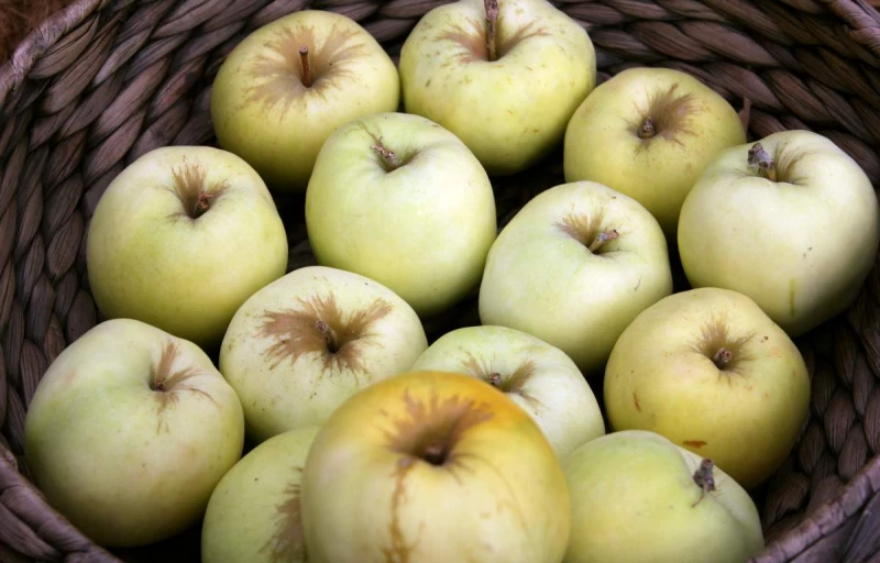 Антоновка на Пулков Сад