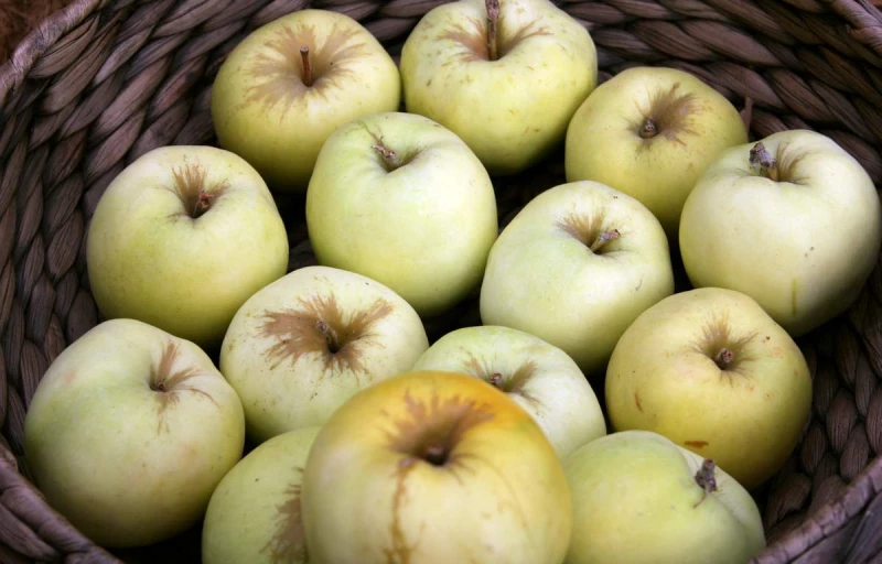 Антоновка на Пулков Сад