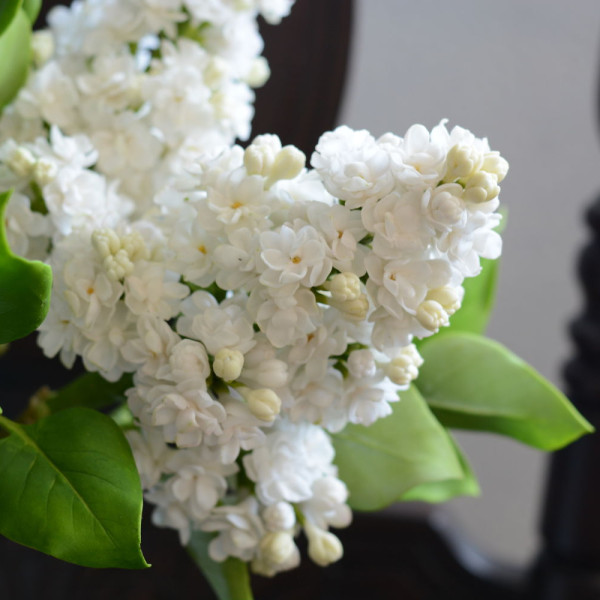 Память о Колесникове - BIG