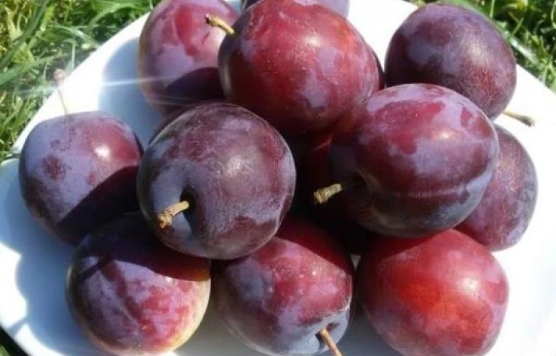 Конфетная на Пулков Сад