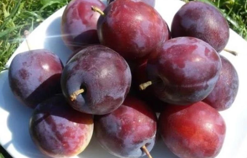 Конфетная на Пулков Сад