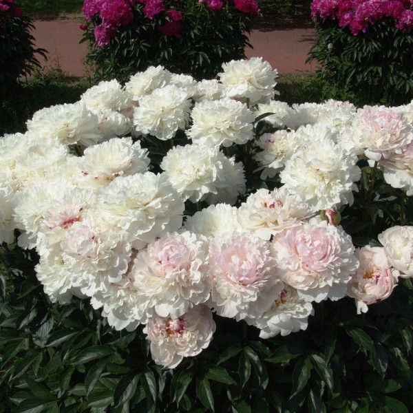 Памяти Гагарина