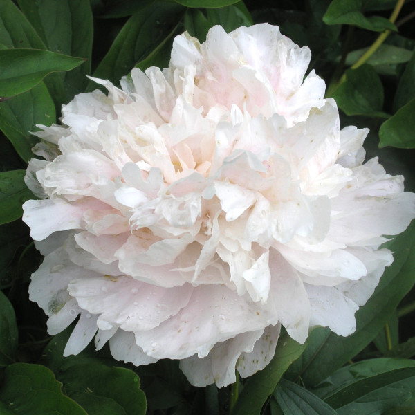 Жемчужина Урала