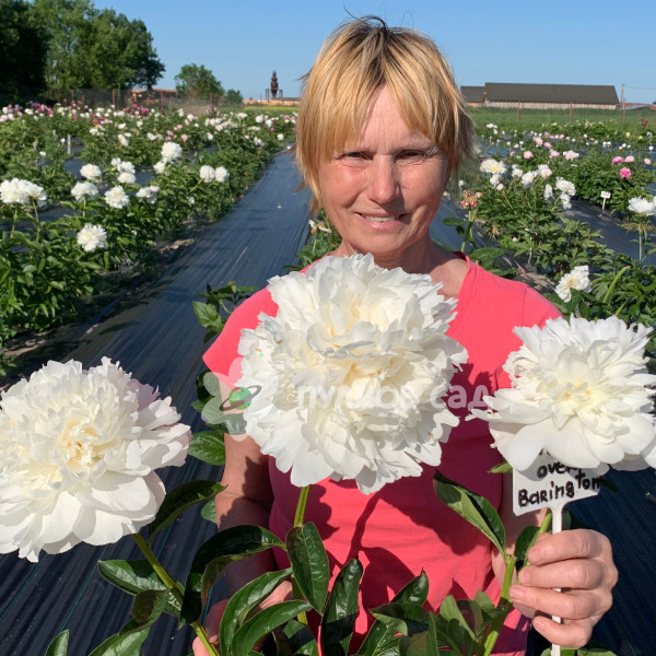Moon over Barrington
