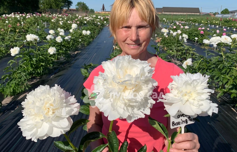 Moon over Barrington на Пулков Сад