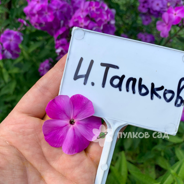 Игорь Тальков