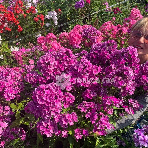 Князь Серебряный