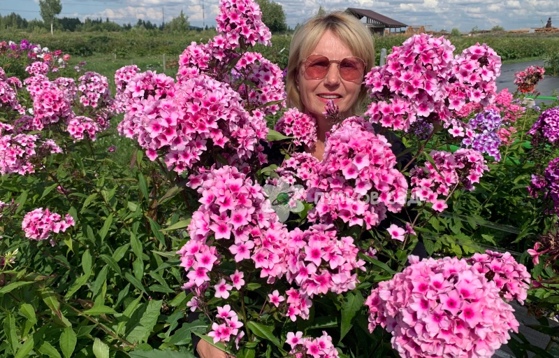 Мозайка на Пулков Сад