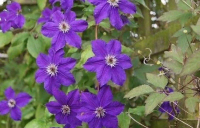 HAPPY BIRTHDAY на Пулков Сад